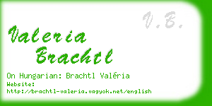 valeria brachtl business card